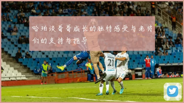 哈珀谈哥哥成长的独特感受与老将们的支持与指导